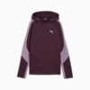 Изображение Puma Худи EVOSTRIPE Hoodie Women #6: Midnight Plum