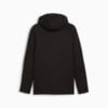 Изображение Puma Кофта EVOSTRIPE Full-Zip Hoodie Men #7: Puma Black