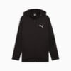 Изображение Puma Кофта EVOSTRIPE Full-Zip Hoodie Men #6: Puma Black