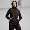 Изображение Puma Кофта EVOSTRIPE Full-Zip Hoodie Men #1: Puma Black