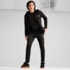 Изображение Puma Кофта EVOSTRIPE Full-Zip Hoodie Men #3: Puma Black