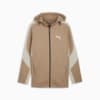 Изображение Puma Кофта EVOSTRIPE Full-Zip Hoodie Men #6: Oak Branch