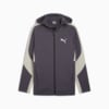 Imagen PUMA Chaqueta con capucha EVOSTRIPE para hombre #6