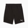 Imagen PUMA Shorts EVOSTRIPE para hombre #6