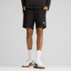 Imagen PUMA Shorts EVOSTRIPE para hombre #1