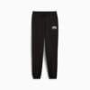 Изображение Puma Детские спортивные брюки PUMA SQUAD Sweatpants Youth #4: Puma Black