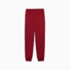 Изображение Puma Детские спортивные брюки PUMA SQUAD Sweatpants Youth #5: Intense Red