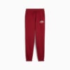 Изображение Puma Детские спортивные брюки PUMA SQUAD Sweatpants Youth #4: Intense Red