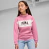 Зображення Puma Дитячий лонгслів PUMA SQUAD Half-Zip Youth #1: Mauved Out
