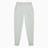 Зображення Puma Штани PUMA SQUAD Sweatpants Men #1: light gray heather