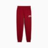 Изображение Puma Брюки спортивные PUMA SQUAD Sweatpants Men #6: Intense Red