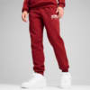Изображение Puma Брюки спортивные PUMA SQUAD Sweatpants Men #3: Intense Red