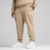 Зображення Puma Штани PUMA SQUAD Sweatpants Men #3: Oak Branch