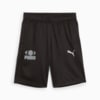Зображення Puma Дитячі шорти ACTIVE SPORTS Shorts Youth #1: Puma Black