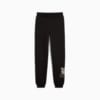 Изображение Puma Детские спортивные брюки ESS+ TROPICAT Sweatpants Youth #1: Puma Black