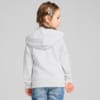 Изображение Puma Детская кофта ESS+ Hoodie Kids #4: Silver Mist