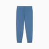 Зображення Puma Дитячі штани ESS+ PUMA Sweatpants Youth #6: Blue Horizon