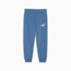 Зображення Puma Дитячі штани ESS+ PUMA Sweatpants Youth #5: Blue Horizon