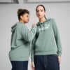 Изображение Puma Худи ESS No. 1 Logo Hoodie Women #1: Green Moon