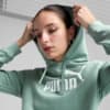 Изображение Puma Худи ESS No. 1 Logo Hoodie Women #2: Green Moon