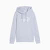 Изображение Puma Худи ESS No. 1 Logo Hoodie Women #6: Cool Weather