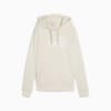 Зображення Puma Худі ESS No. 1 Logo Hoodie Women #4: Alpine Snow