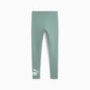 Изображение Puma Леггинсы ESS No. 1 Logo Leggings Women #7: Green Moon