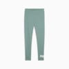 Изображение Puma Леггинсы ESS No. 1 Logo Leggings Women #6: Green Moon