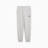 Изображение Puma Брюки ESS Small No. 1 Logo Sweatpants Women #6: light gray heather