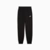 Зображення Puma Штани ESS Small No. 1 Logo Comfort High-Waist Sweatpants Women #4: Puma Black