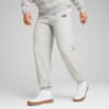 Зображення Puma Штани ESS Small No. 1 Logo Comfort High-Waist Sweatpants Women #1: light gray heather