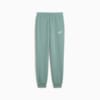 Зображення Puma Штани ESS Small No. 1 Logo Comfort High-Waist Sweatpants Women #1: Green Moon