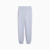 Зображення Puma Штани ESS Small No. 1 Logo Comfort High-Waist Sweatpants Women #1: Cool Weather