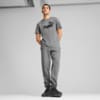 Изображение Puma Футболка Essentials No. 1 Logo Tee Men #3: Medium Gray Heather