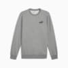 Imagen PUMA Polerón Essentials Small No. 1 Logo para hombre #6
