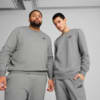 Imagen PUMA Polerón Essentials Small No. 1 Logo para hombre #1