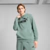 Image PUMA Moletom com Capuz Essentials No. 1 Logo Masculino #1