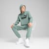 Image PUMA Moletom com Capuz Essentials No. 1 Logo Masculino #3
