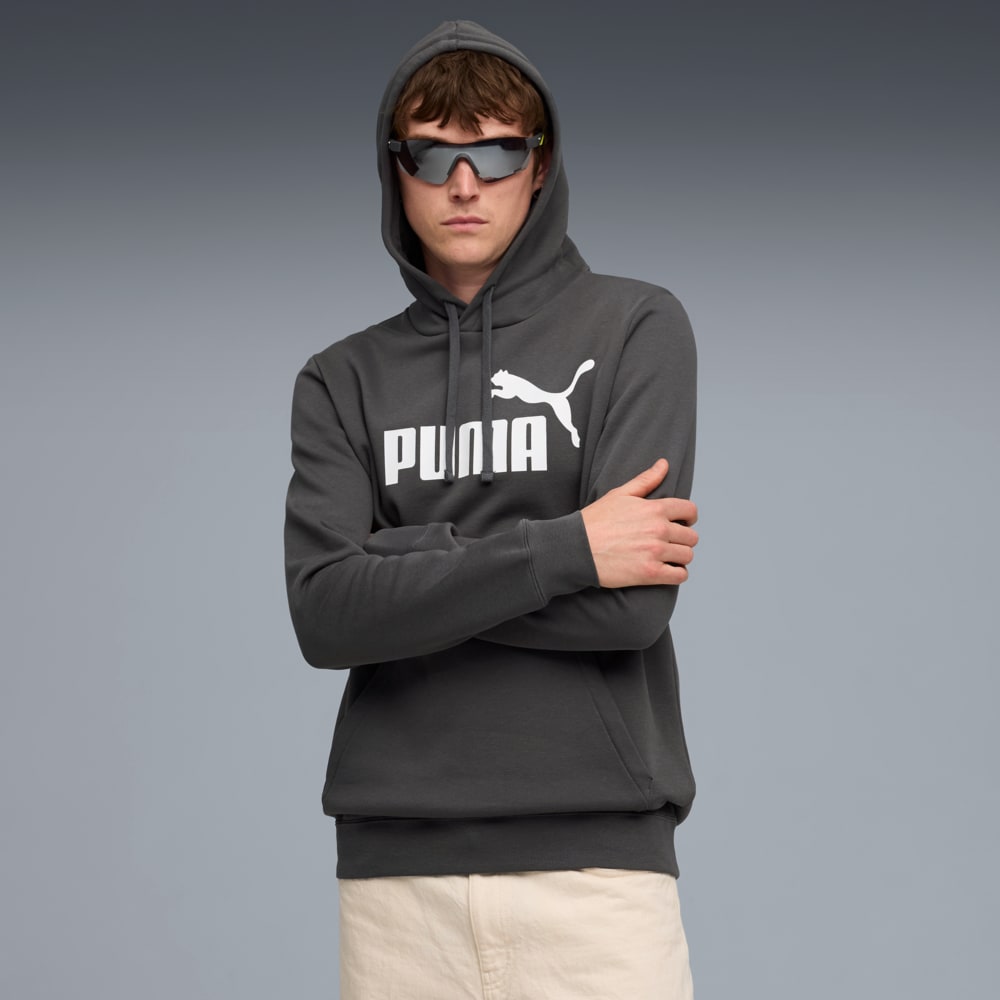 Изображение Puma Худи Essentials No. 1 Logo Hoodie Men #1: Dusky Gray