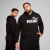 Изображение Puma Детское худи Essentials No. 1 Logo Hoodie Youth #1: Puma Black