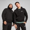 Image PUMA Moletom com Capuz Essentials Small No. 1 Logo Masculino #0