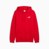 Image PUMA Moletom com Capuz Essentials Small No. 1 Logo Masculino #4