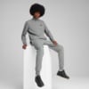 Изображение Puma Олимпийка Essentials No. 1 Logo Track Jacket Men #3: Medium Gray Heather
