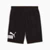 Изображение Puma Шорты Essentials Big No. 1 Logo 10