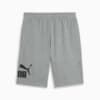 Изображение Puma Шорты Essentials Big No. 1 Logo 10
