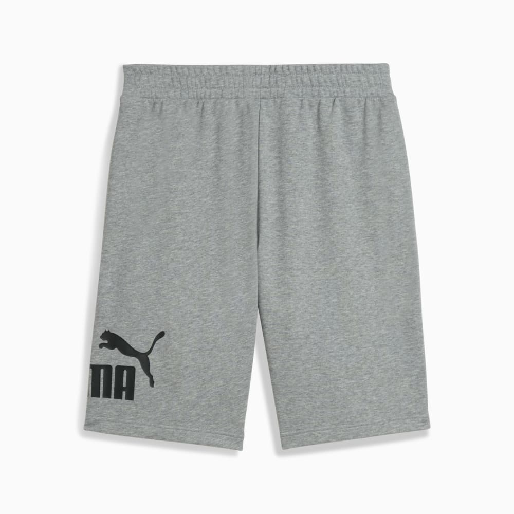 Изображение Puma Шорты Essentials Big No. 1 Logo 10