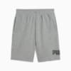 Изображение Puma Шорты Essentials Big No. 1 Logo 10