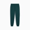 Изображение Puma Штаны Essentials No. 1 Logo Sweatpants Men #5: Green Terrain