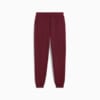 Зображення Puma Штани Essentials No. 1 Logo Sweatpants Men #5: Ruby Shimmer