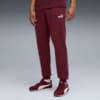 Зображення Puma Штани Essentials No. 1 Logo Sweatpants Men #1: Ruby Shimmer
